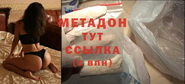 молекула духа Богданович