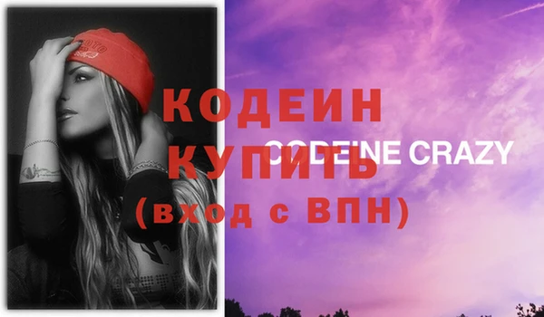 молекула духа Богданович