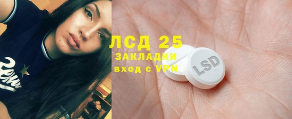 молекула духа Богданович