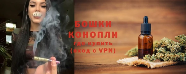 крисы Богородицк