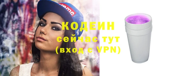 крисы Богородицк