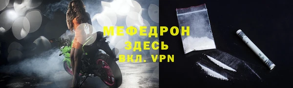 молекула духа Богданович