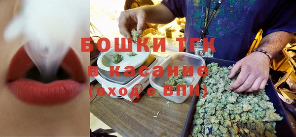 молекула духа Богданович
