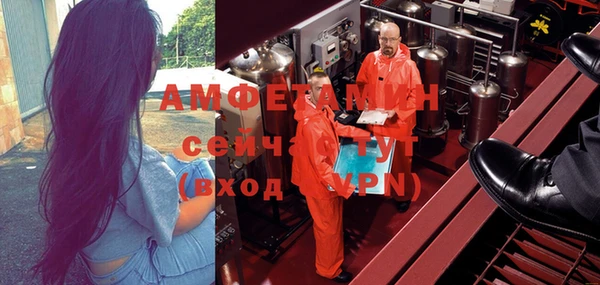 молекула духа Богданович