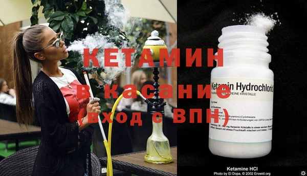 крисы Богородицк