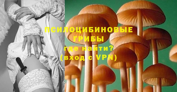 крисы Богородицк