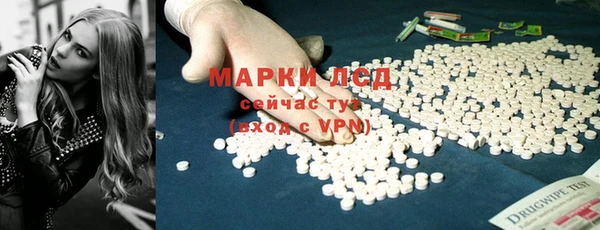 крисы Богородицк