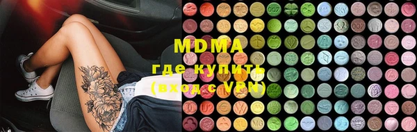 молекула духа Богданович
