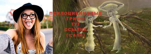 mdpv Богородск