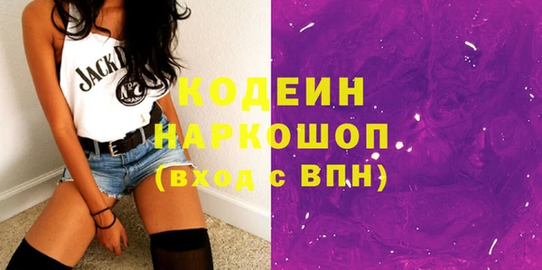 молекула духа Богданович