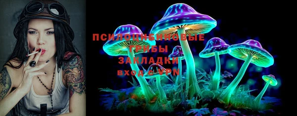 молекула духа Богданович